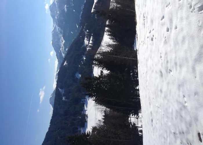 Freudenmacher Sankt Ulrich am Pillersee