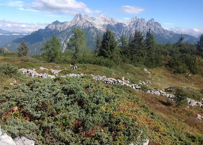 公寓 菲登玛赫公寓 *
