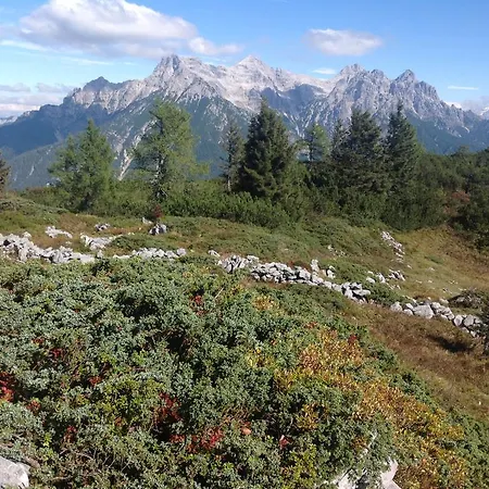 Apartman Freudenmacher *